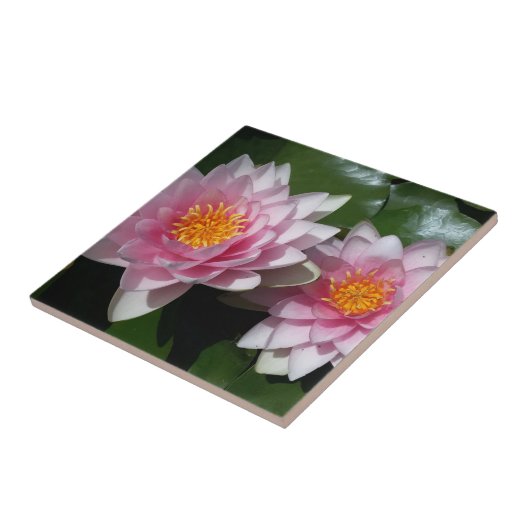 Lotos-Blume Fliese (Seite)