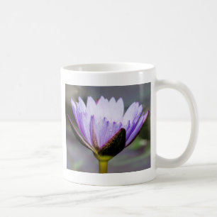Lotos-Blume Kaffeetasse
