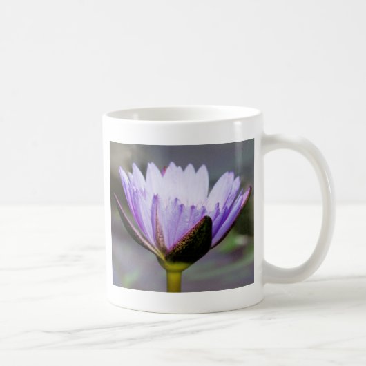 Lotos-Blume Kaffeetasse (Rechts)