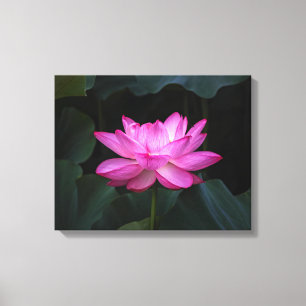 Lotos-Blume Leinwanddruck