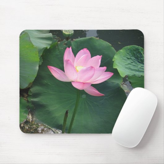 Lotos-Blume Mousepad (Mit Mouse)