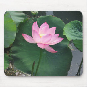 Lotos-Blume Mousepad