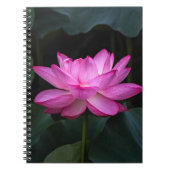 Lotos-Blume Notizblock (Vorderseite)