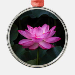 Lotos-Blume Ornament Aus Metall