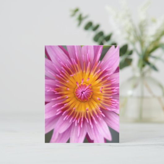 Lotos-Blume Postkarte (Stehend Vorderseite)