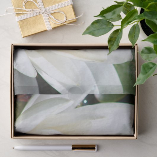 Lotos-Blume Seidenpapier (Geschenk)