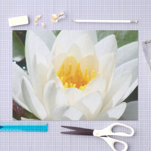 Lotos-Blume Seidenpapier (Handwerk)