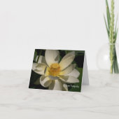 Lotos-Blume, tiefstes Beileid Karte (Vorderseite)