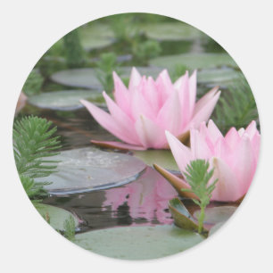 Lotos-Blume/Wasserlilie Runder Aufkleber