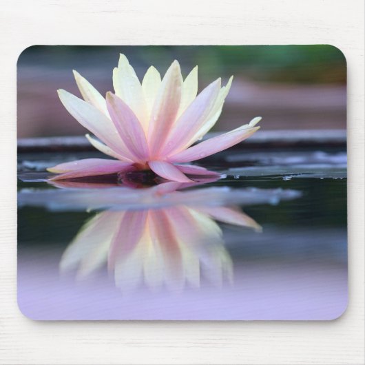 Lotos-Blumen-Mausunterlage Mousepad (Vorne)