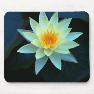 Lotos-Blumen-Power Mousepad