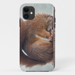 Lotos-Eichhörnchen iPhone 5 Case-Mate-Fall Case-Mate iPhone Hülle