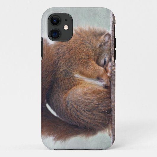 Lotos-Eichhörnchen iPhone 5 Case-Mate-Fall Case-Mate iPhone Hülle (Rückseite)