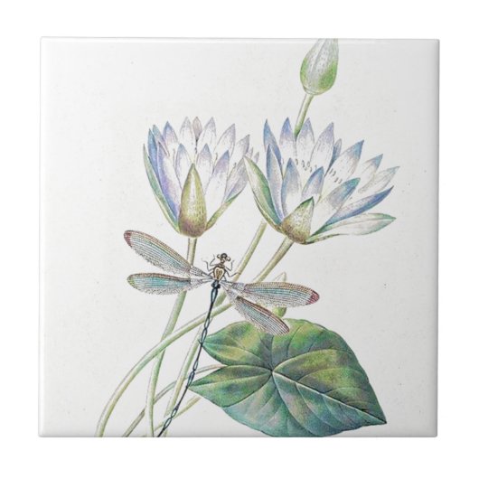 Lotos und Libelle Fliese (Vorderseite)