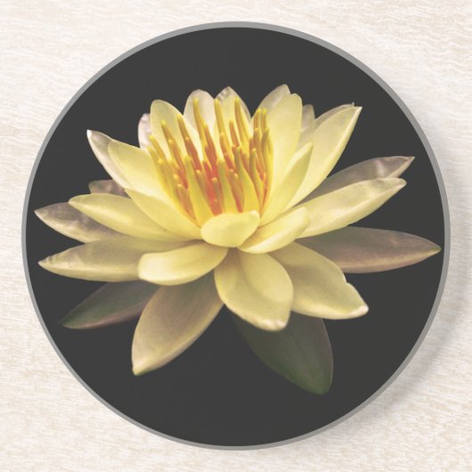 Lotos Untersetzer (Vorne)