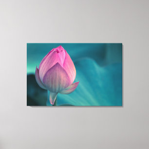 Lotos-Wasser-Lilien-Blume Leinwanddruck