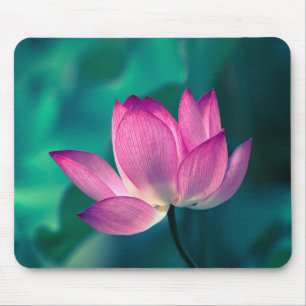 Lotos-Wasser-Lilien-Blume Mousepad
