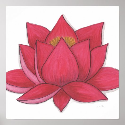 Lotosblume Poster (Vorne)