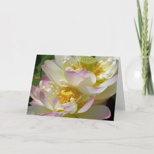 Lotosblumen-Duett Karte