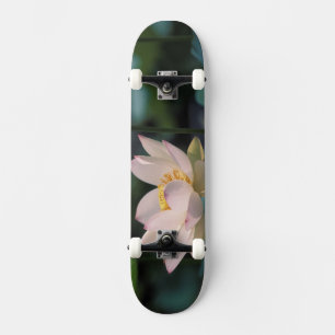 Lotosblüte in Blüte, China Skateboard