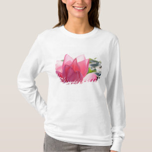 Lotosblüte [Nelumbo speciosum] in voller Blüte T-Shirt