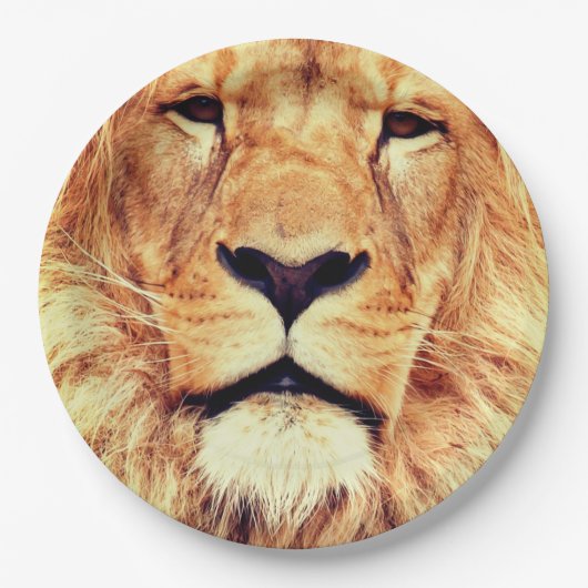 Lötpapier-Teller Pappteller (Vorderseite)