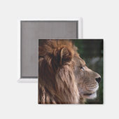 Lötprofil Magnet (Vorderseite/Rückseite)