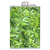 Lots of beautiful green leaves  flachmann (Rückseite)