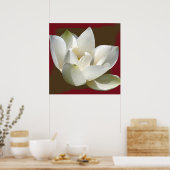 Lotus1 Poster (Küche)