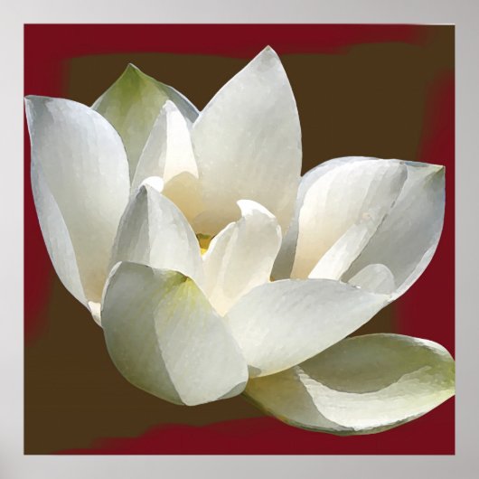 Lotus1 Poster (Vorne)