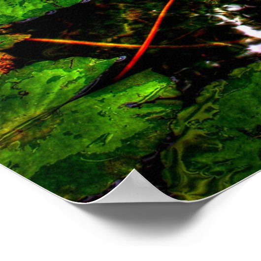 Lotus 1 poster (Ecke)