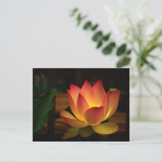 Lotus 1 postkarte (Stehend Vorderseite)