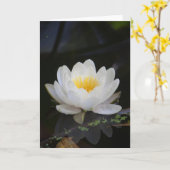 Lotus #2360 karte (Gelbe Blume)