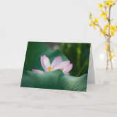 Lotus #2525 karte (Gelbe Blume)