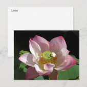 Lotus Ankündigungspostkarte (Vorne/Hinten)
