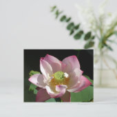 Lotus Ankündigungspostkarte (Stehend Vorderseite)