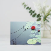 Lotus auf Wasser Postkarte (Stehend Vorderseite)