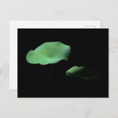 Lotus-Blätter Ankündigungspostkarte (Vorne/Hinten)