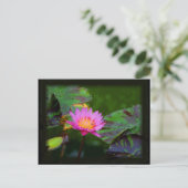 Lotus Bloom Postkarte (Stehend Vorderseite)