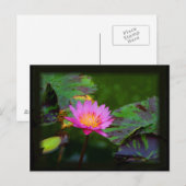Lotus Bloom Postkarte (Vorne/Hinten)