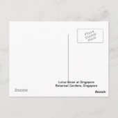 Lotus Bloom Postkarte (Rückseite)