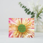 Lotus Bloom Postkarte (Stehend Vorderseite)