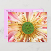 Lotus Bloom Postkarte (Vorne/Hinten)