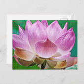 Lotus blossom feiertagspostkarte (Vorne/Hinten)