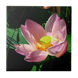 Lotus Blossom Fliese