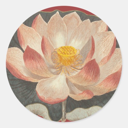Lotus Blossom, Lilypad, Wasserlily Buddhistisches Runder Aufkleber (Vorderseite)