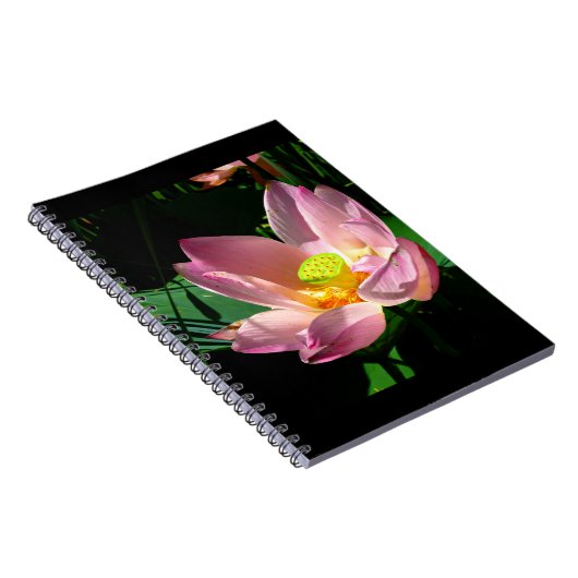 Lotus Blossom Notizblock (Rechte Seite)
