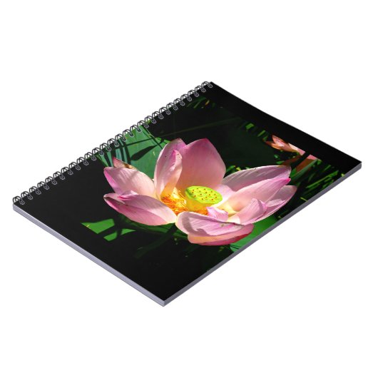 Lotus Blossom Notizblock (Linke Seite)