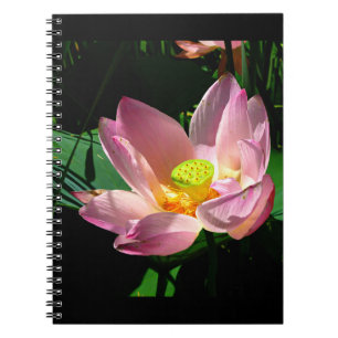 Lotus Blossom Notizblock