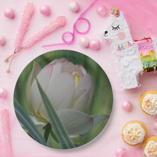 Lotus Blossom Pappteller (Party)